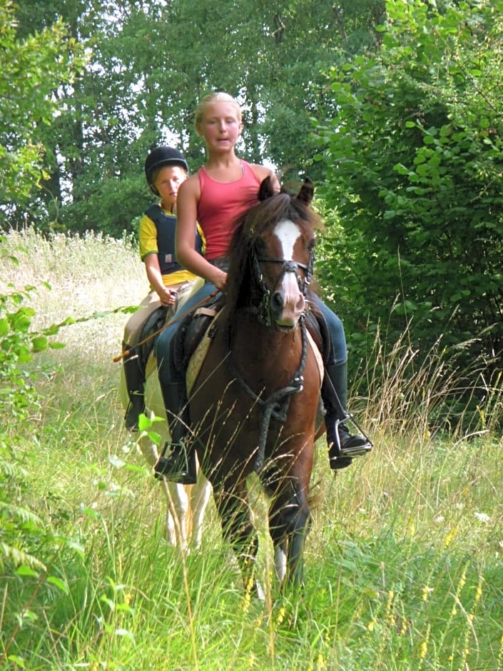 Maison d'hôtes De La Boissière