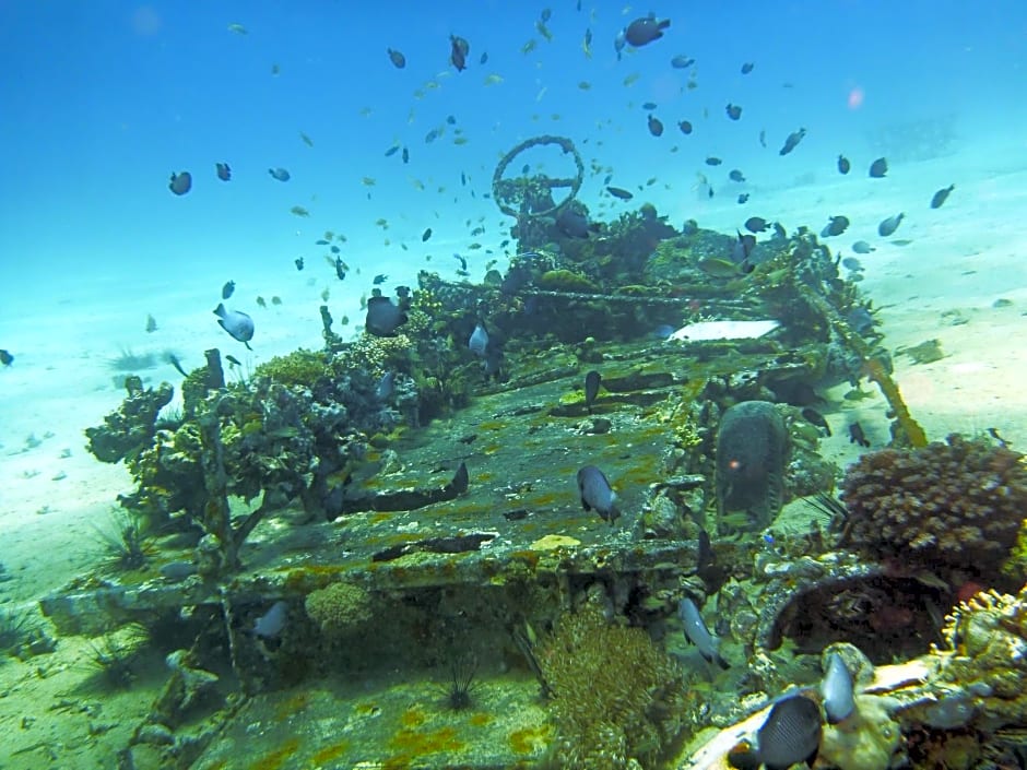 Malapascua Exotic Island Dive Resort