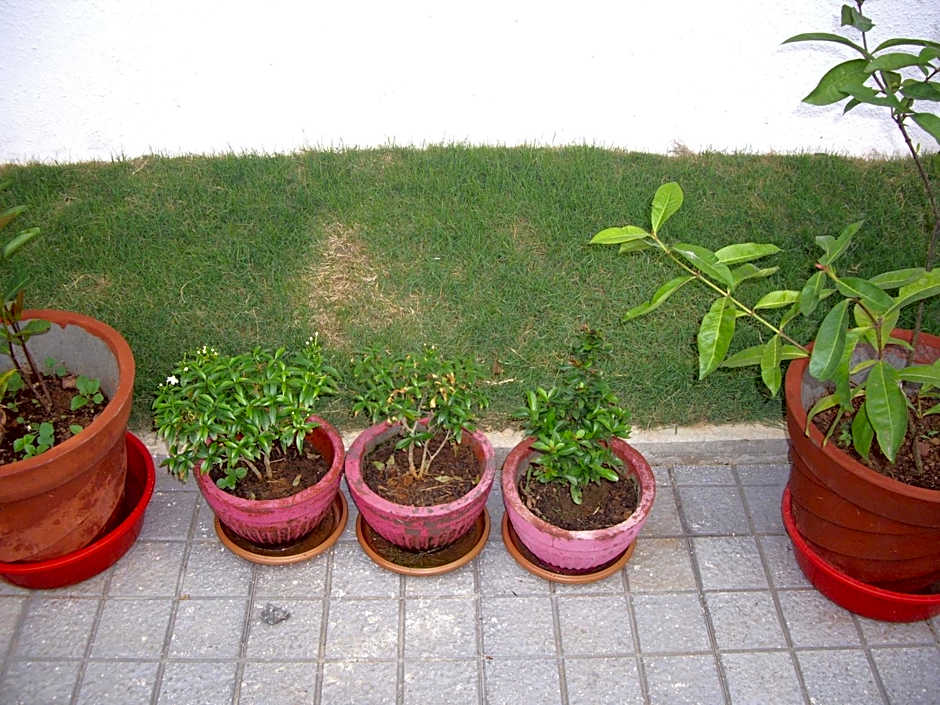 Elim Homestay Fort Kochi