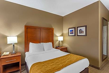 1 Queen Bed, Nonsmoking, Accessible