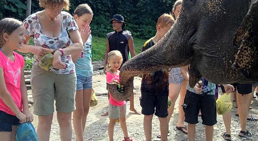 Green lodge tangkahan 