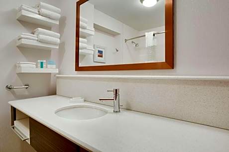 King Room with Roll-In Shower - Mobility and Hearing Access/Non-Smoking