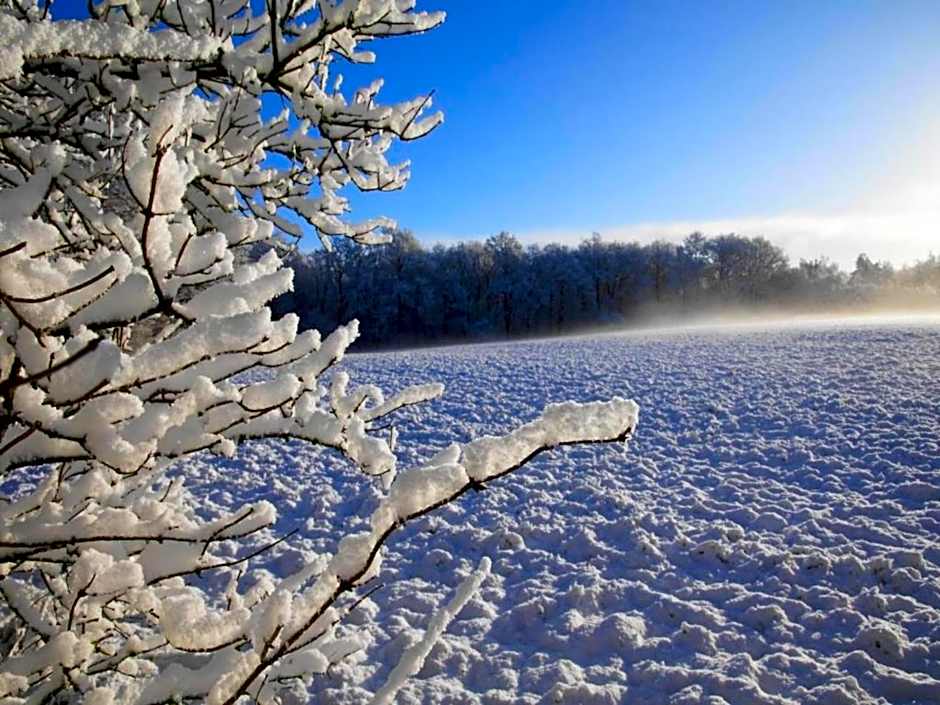 Castle Stay in De Eese with Royal Interiors