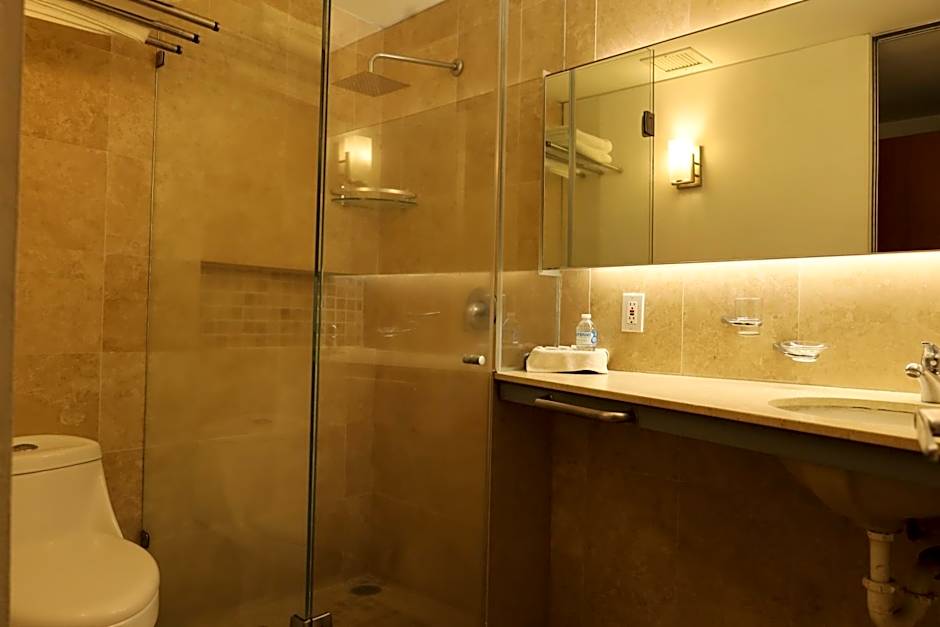 Aristos Express CDMX