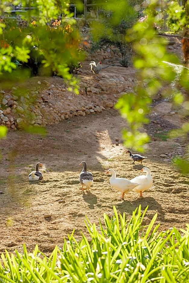 Die Fonteine Country Guesthouse and Glamping