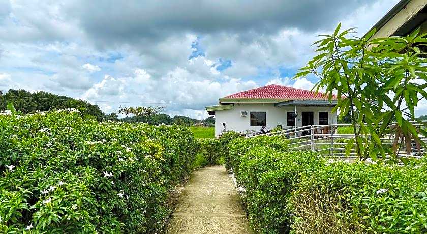 Jazz Ferme Inn Batuan Bohol