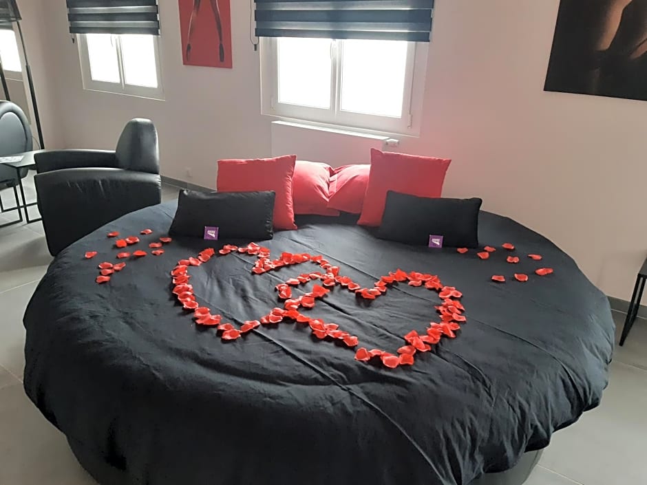 Ds Plaisir Love Room avec sauna, jacuzzi à Nancy