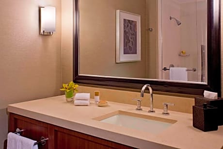 ROOM, KING BED, CAPITOL VIEW