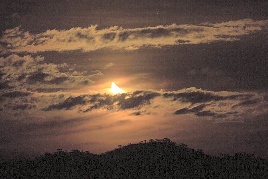 Raizando Ecologia Humana