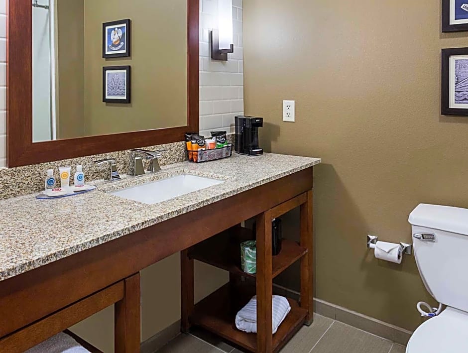 Comfort Inn & Suites Zachary