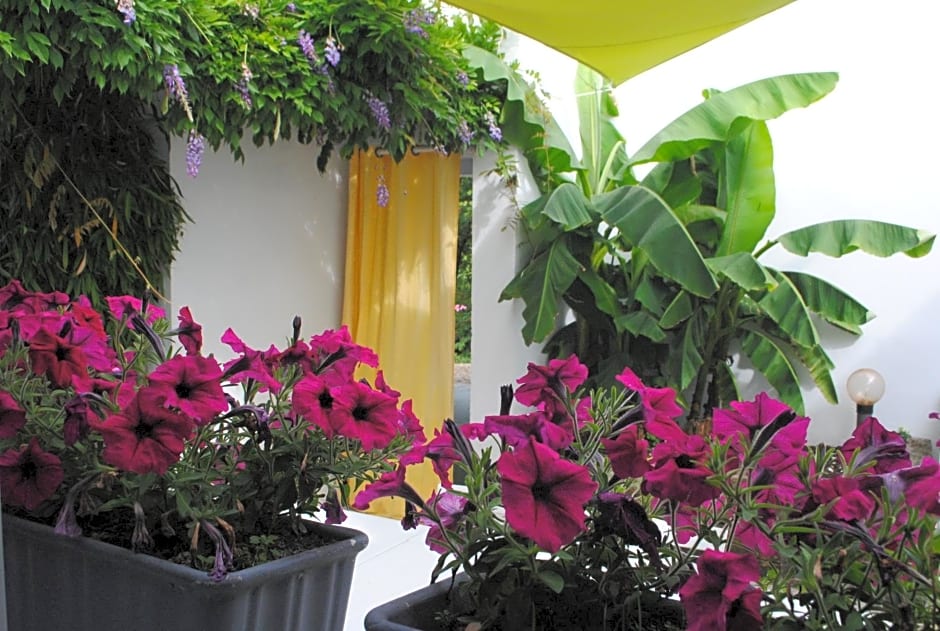 Chambres d'hôtes La Tribu