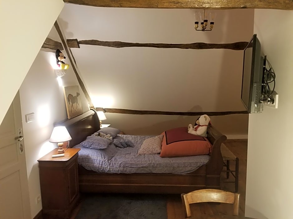 Chenonceau Amboise équitation beauval