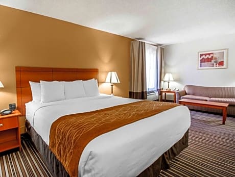 1 King Bed, Suite, Nonsmoking