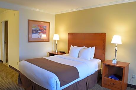 Queen Room with Roll-in Shower - Non-Smoking/Mobility Access