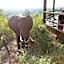 Makumu Private Game Lodge