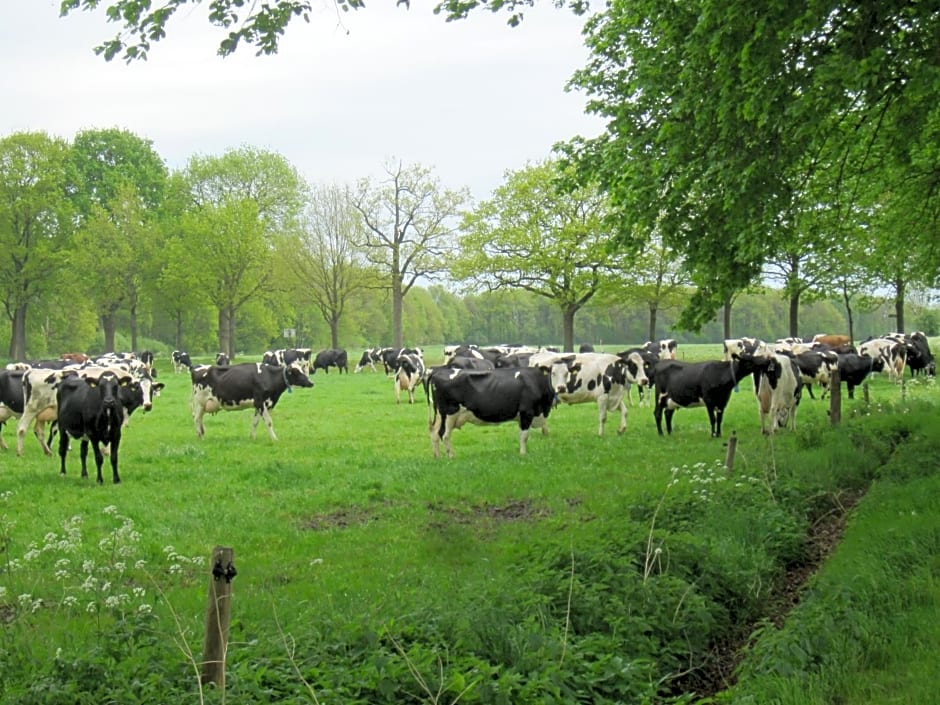 B&B Kleintje Eleveld