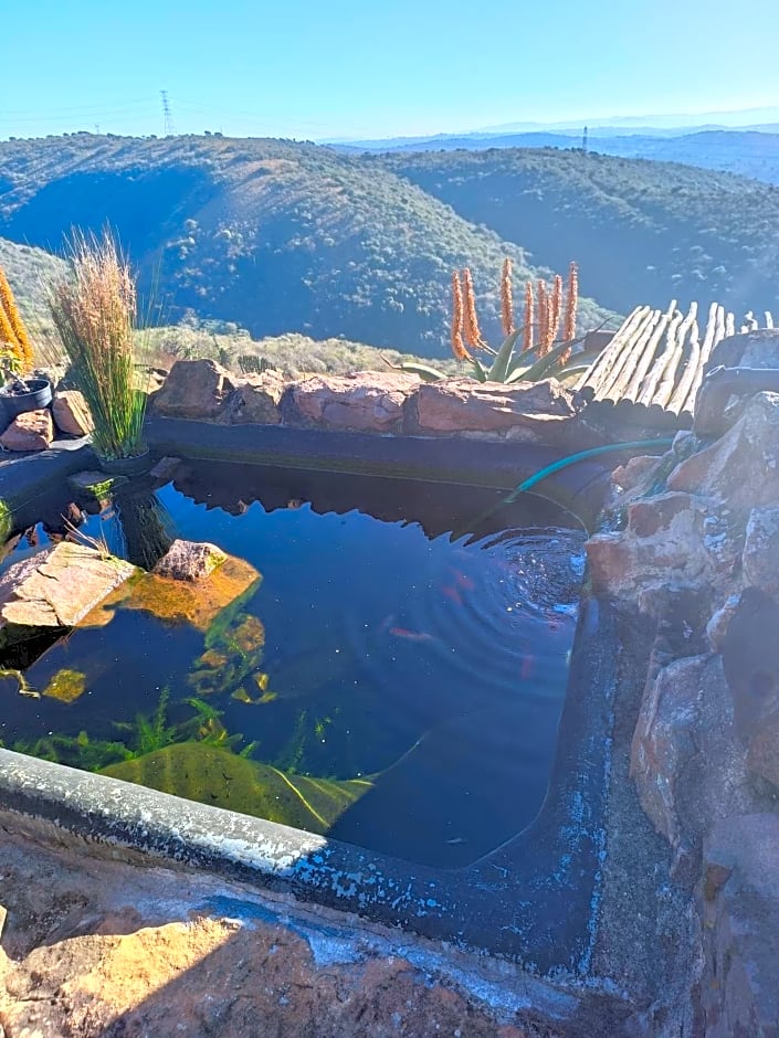 Leopards and Louries Bush Lodge