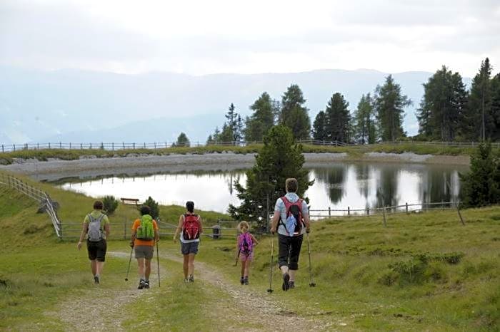 Ferienhütte Hoitahüttl