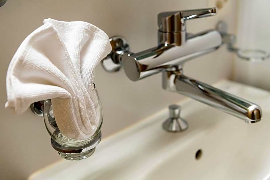 Hotel Schiff am Rhein