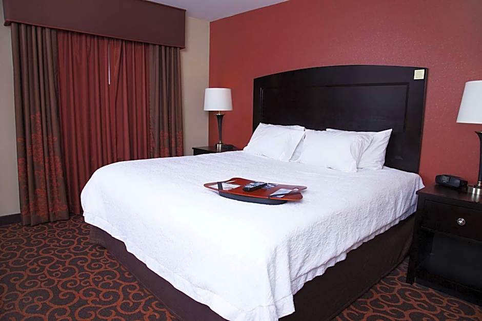 Hampton Inn By Hilton and Suites Dickinson ND