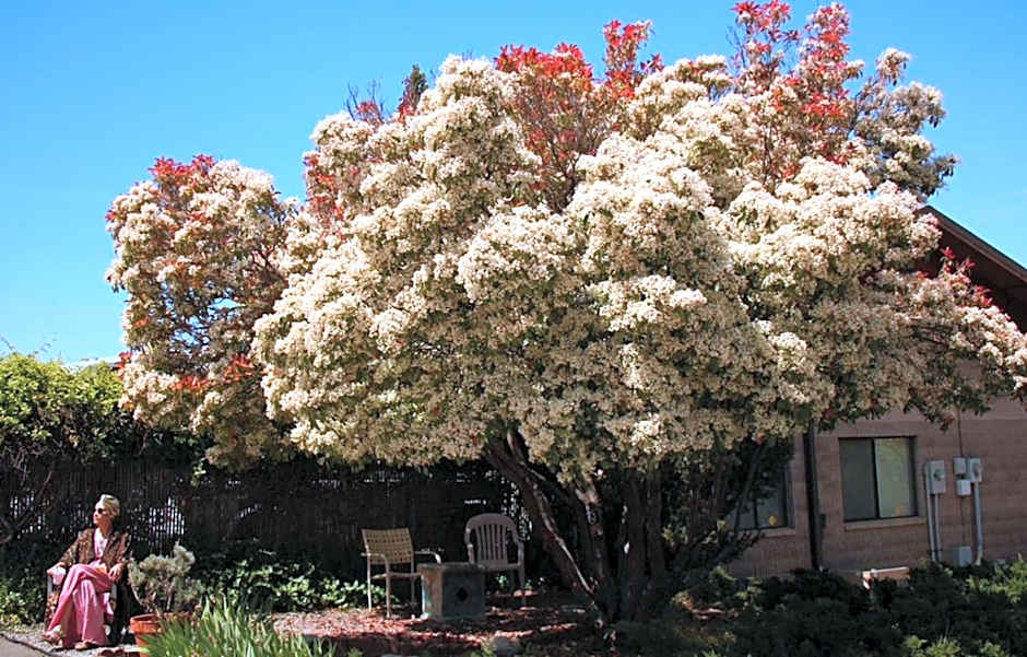 Ashland Commons Hostel