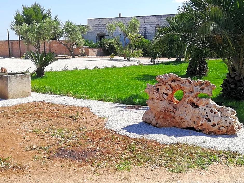 Il giardino dei tramonti