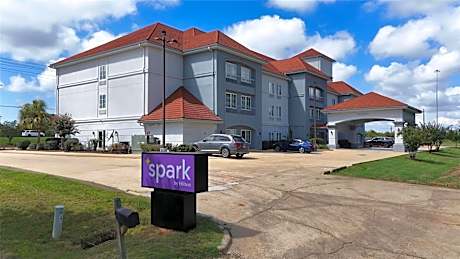 Spark by Hilton Brandon