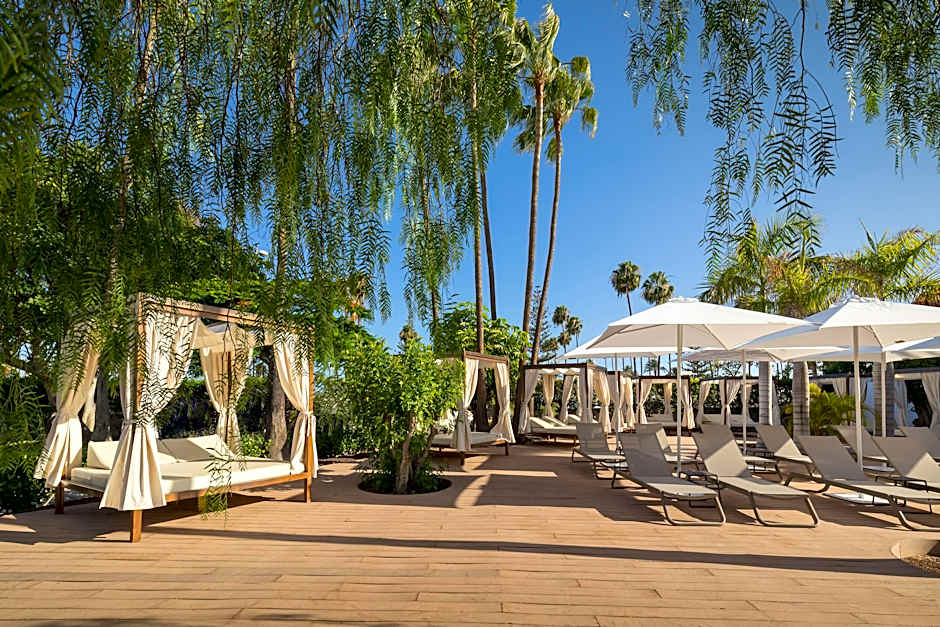 Barcelo Margaritas Royal Level Adults Only