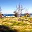 Pension Le Passage - Vacation STAY 11300v