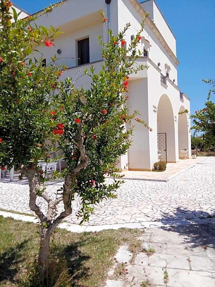 Tenuta degli Agrumi