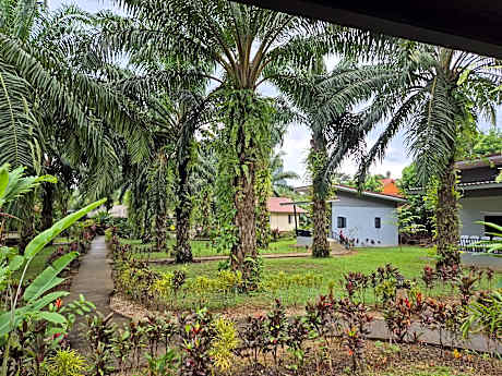 Khao Sok Palm Garden Resort