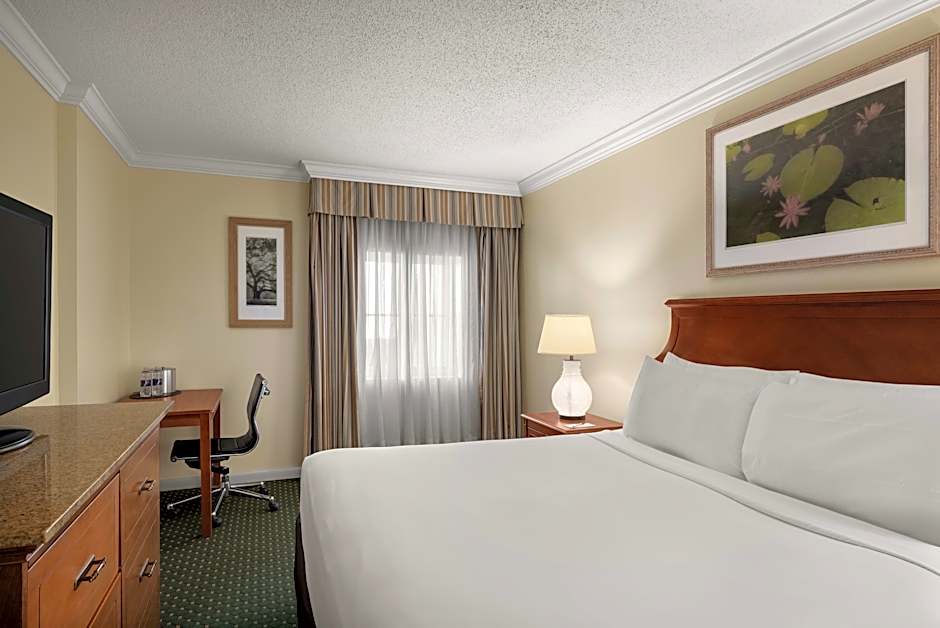 Photo 1 of 2 of Traditional 1 King Bed Guestroom