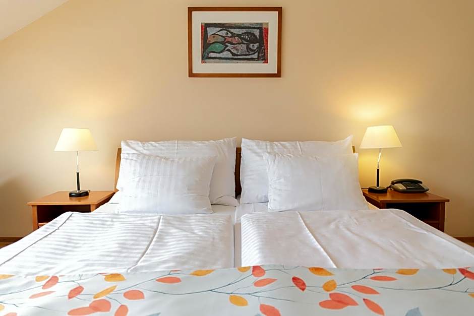 Hotel Orion