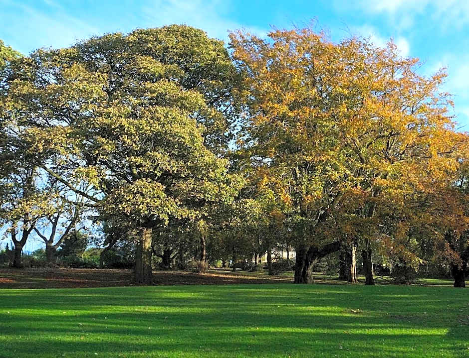 The Whitehouse Peterlee