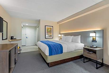 1 King Bed Business Room Nonsmoking