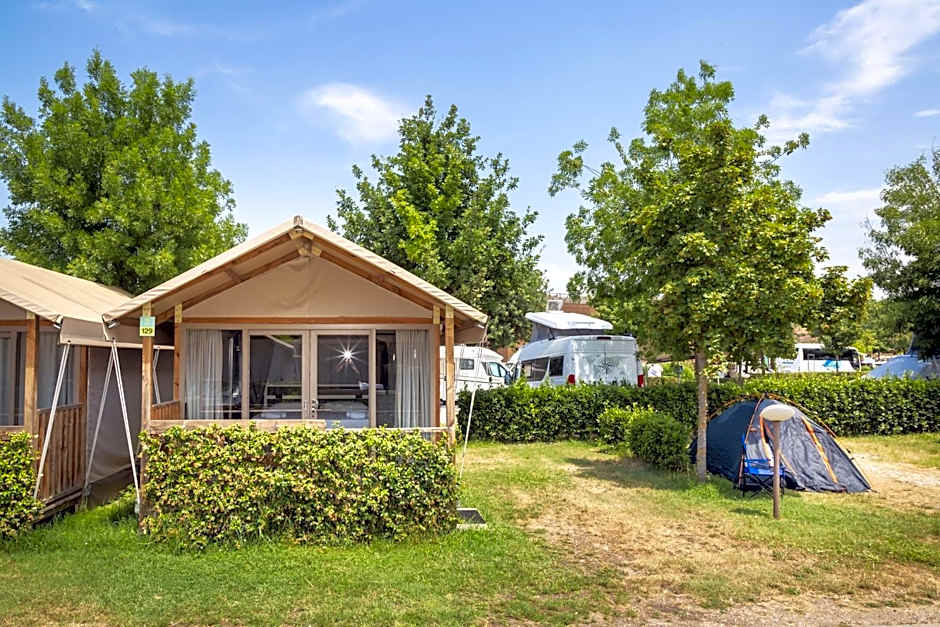 Roma Camping in Town