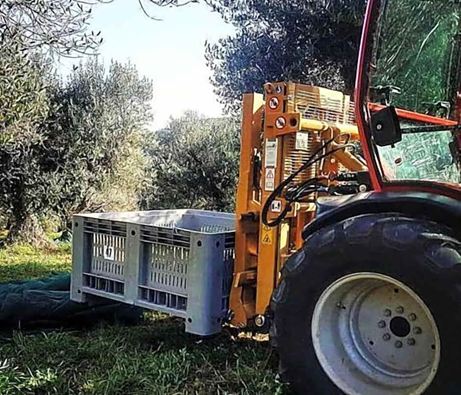 Villa Cavalletti Camere