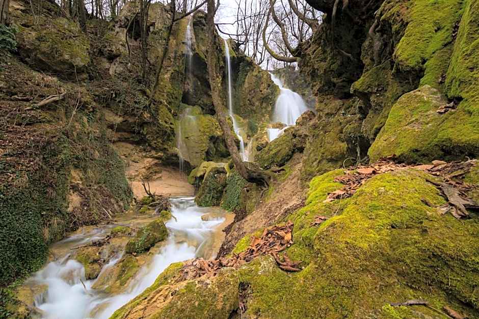 Green Hisar Hotel Family
