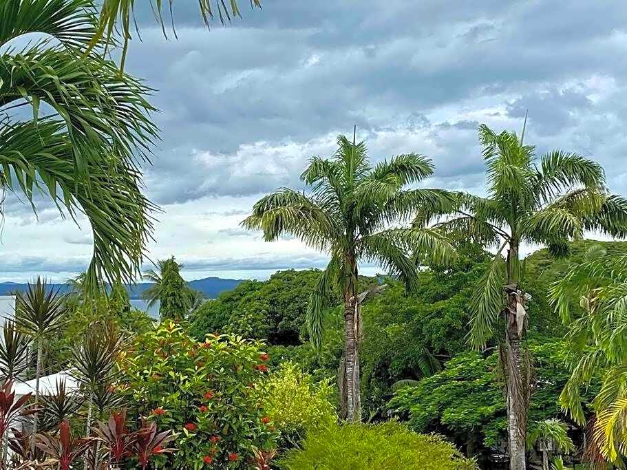 WanderLust - Little Slice of Heaven on Macrossan Str