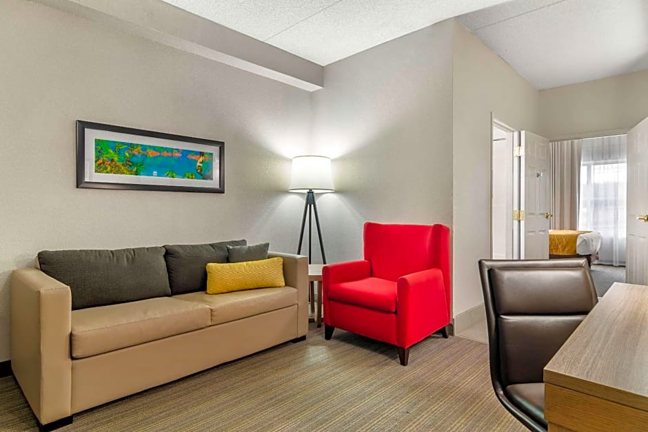 Comfort Inn & Suites Calhoun South