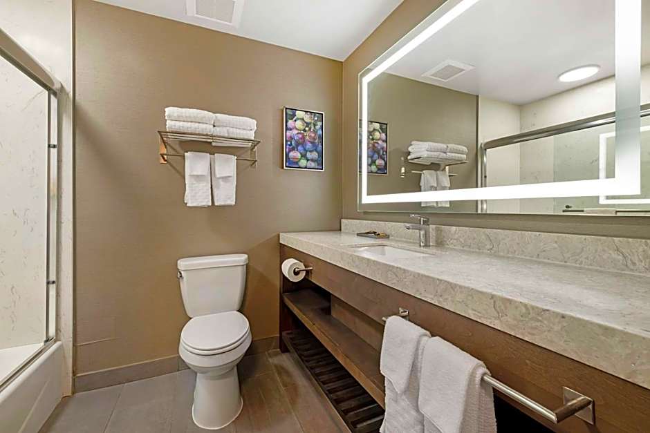 Best Western Plus Temecula Wine Country Hotel & Suites