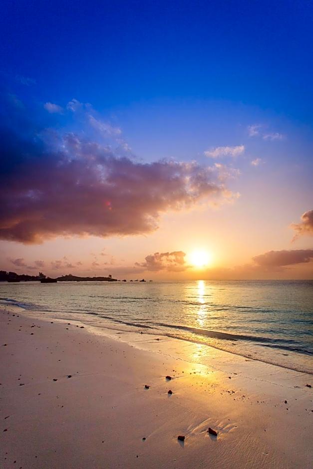 Turtle Bay Beach Club- All Inclusive