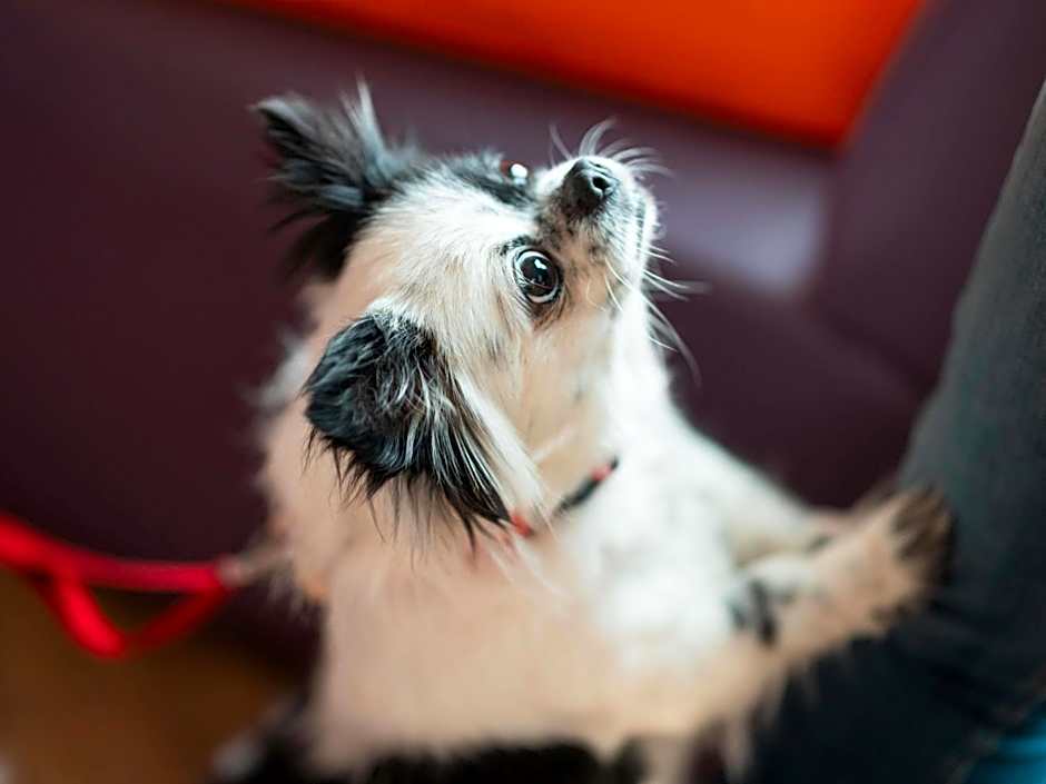 ibis Carlisle City Centre