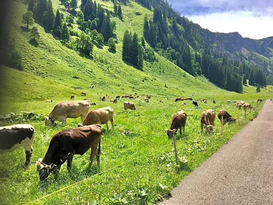 2 Raum Gästezimmer Prokop