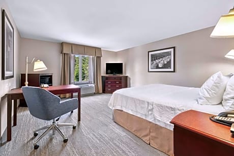 1 King Bed Nonsmoking
