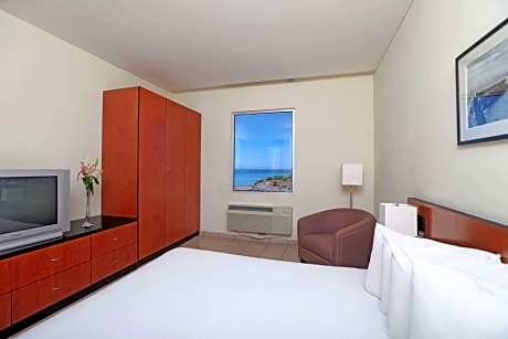 1 Queen Bed, Nonsmoking, Accessible