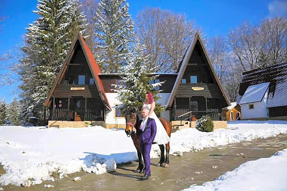 Centrul de Echitatie Poiana Brasov