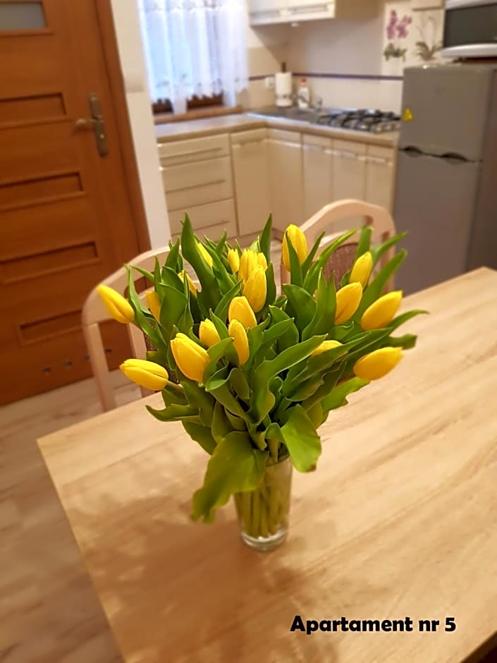 Domki i Pokoje u Borsa