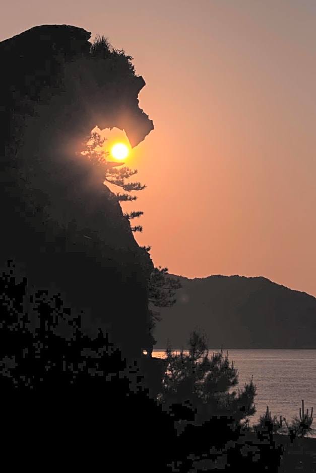 Oninosanpomichi