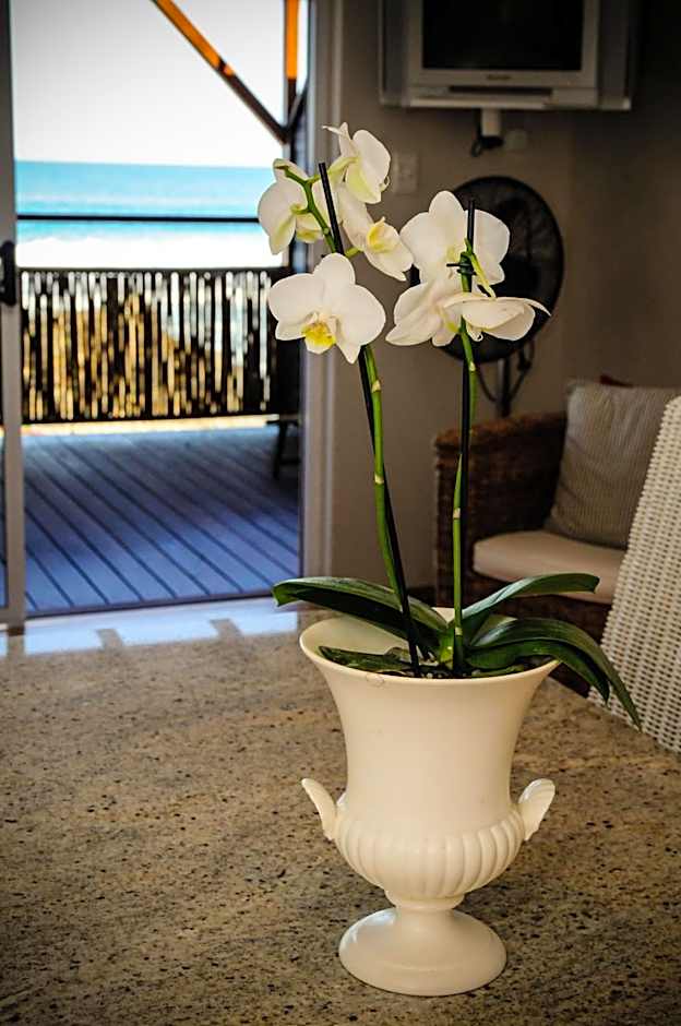 Singing Kettle Beach Lodge